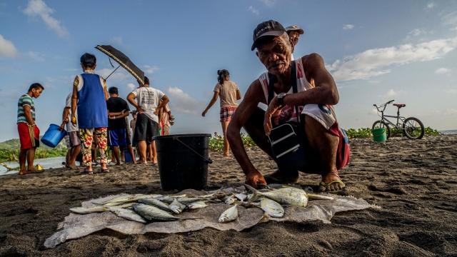 Farmers and fishermen saw their income drop by 60% during the COVID-19 crisis. Photo credit: ADB.
