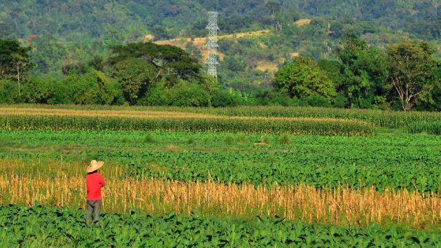 Explore green growth opportunities in agriculture and fisheries, clean energy, and sustainable transport and waste management. Photo credit: ADB.