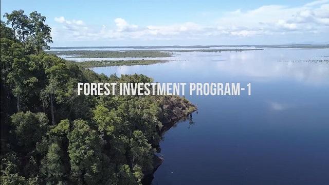 Forest Investment Program-1 in Indonesia