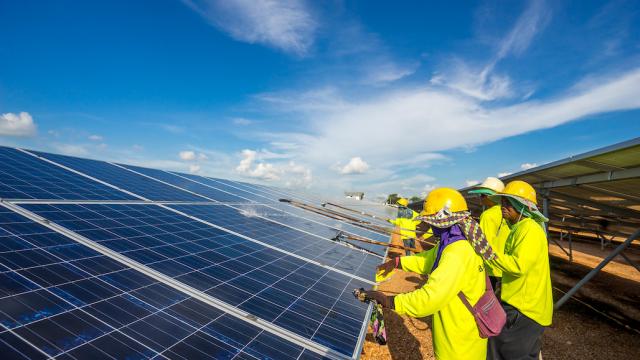 Workers at a solar farm