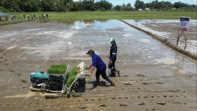 Launching of the solar-powered irrigation systems in Taraka, Lanao del Sur in the Philippines. Photo credit: Mindanao Development Authority.