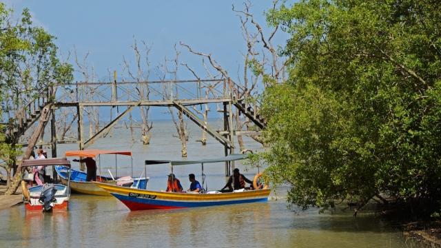 Tourists exploring the Bako National Park in Sarawak.