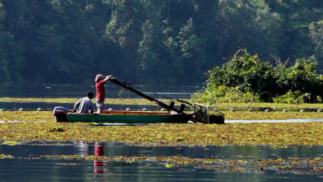 Batu Puteh residents clearing weeds from the river.