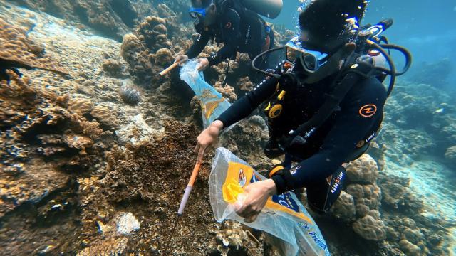 Divers remove the crown of thorns starfish around Datoy Island in Coron, Palawan, Philippines, to conserve the coral reefs.