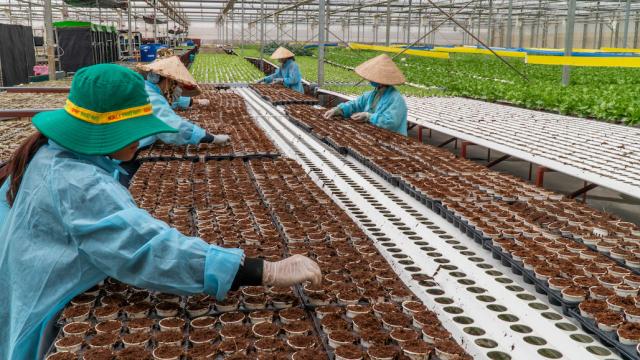 Workers at a horticulture farm.