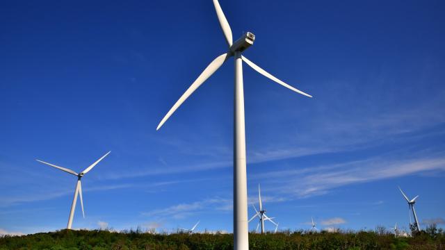Burgos Wind Farm in the Philippines. Photo credit: Asian Development Bank.