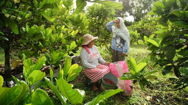 Farmers chat amid crops in the Philippines.