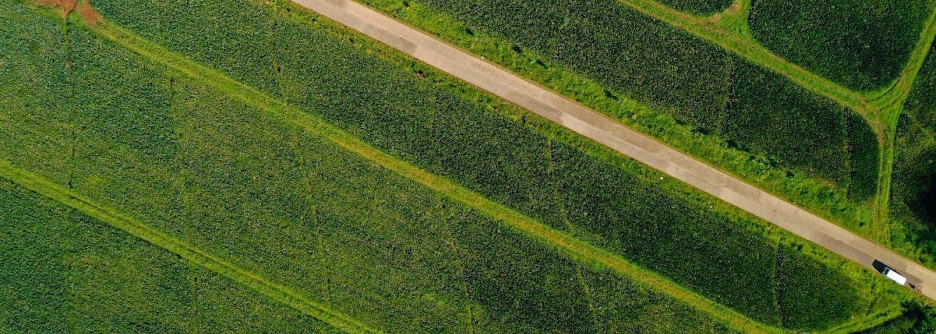 Mindanao transport corridor. Photo courtesy of Mindanao Development Authority.